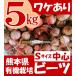  разделение есть иметь машина Be tsu Kumamoto префектура производство S размер центр 5kg ограниченный товар 