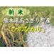 米 ひのひかり 白米 5kg 令和１年産 熊本県 あさぎり町産 安い セール
ITEMPRICE