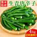  местного производства синий красный острый перец 4kg бесплатная доставка Kumamoto префектура производство .. сырой синий красный острый перец красный острый перец tougalasi перец стручковый [.. нет ][ товар вид : большой . перец стручковый ]