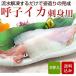 イカ  姿造り 2杯入  呼子いか 玄界灘 父の日 お中元
