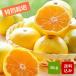  мандарин высшее . сырой мандарин 5kg специальный культивирование размер смешивание Kumamoto префектура производство 