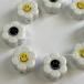 ƫ ˥˥ եӡ 18mm   2  Ǻ ꡼ ѡ  ϥɥᥤ  䲰  202303re