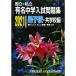  country . private famous middle . entrance examination workbook man ..* also school compilation 2021 fiscal year for 
