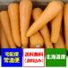  морковь бесплатная доставка Hokkaido производство морковь 10kg(L размер ) цена 2910 иен Hokkaido морковь 