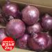  время от времени отправка средний лук репчатый early красный 2kg Hokkaido север видеть производство или . хорошо . производство красный шар лук порей бесплатная доставка красный шар лук порей красный шар лук порей /tama лук-батун / лук овощи 