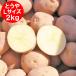  время от времени отправка средний картофель 2kg... Hokkaido jagaimopota-ju карри оптимальный ...L размер Hokkaido производство jagaimo овощи картофель 