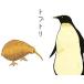 [ почтовая доставка OK][ новый товар ][CD]tobtoli[ наличие товар ]