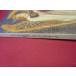 �}�^�@���t�@�G���O�h�ƃI�b�N�X�t�H�[�h�@The Pre-Raphaelites in Oxford�@ �֘A�摜1