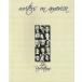 Writers on America : 15 reflections
