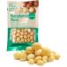  macadamia орехи 65g / мясо для жаркого to несоленый еда соль не использование масло не использование anti старение не . мир жир . кислота здоровый закуска ( почтовая доставка одиночный товар 4 шт до соответствует )