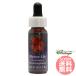  Alpine Lilly FES цветок essence Quint essence 
