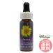 arunikaFES цветок essence Quint essence 