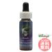  базилик FES цветок essence Quint essence 