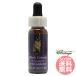  черный ko сигнал shuFES цветок essence Quint essence 