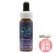 bo Large .FES цветок essence Quint essence 