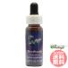 tia brush FES цветок essence Quint essence 