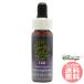  укроп FES цветок essence Quint essence 