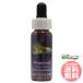 dag дерево FES цветок essence Quint essence 