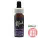  e-s ta- Lilly FES цветок essence Quint essence 