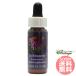 ekenei автомобиль FES цветок essence Quint essence 
