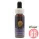 fea Lee фонарь FES цветок essence Quint essence 