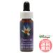  four n Lilly FES цветок essence Quint essence 