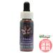  filler Lee FES цветок essence Quint essence 