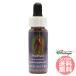 f-siaFES цветок essence Quint essence 