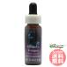  - unz tang FES цветок essence Quint essence 
