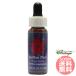  индеец розовый FES цветок essence Quint essence 
