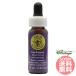 la-kspa-FES цветок essence Quint essence 