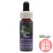  Nico si дыра FES цветок essence Quint essence 