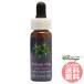 poizn дуб FES цветок essence Quint essence 
