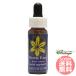 pliti лицо FES цветок essence Quint essence 