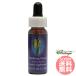 ke- King стакан FES цветок essence Quint essence 