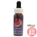 k in sFES цветок essence Quint essence 