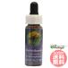  кролик brush FES цветок essence Quint essence 