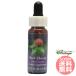  красный clover FES цветок essence Quint essence 