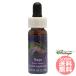  шалфей FES цветок essence Quint essence 