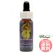  Scotch Bloom FES цветок essence Quint essence 