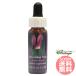  стрельба Star FES цветок essence Quint essence 