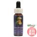  зажим Dragon FES цветок essence Quint essence 