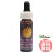  крахмал sruFES цветок essence Quint essence 