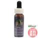  стойка  ключ Monkey цветок FES цветок essence Quint essence 