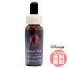  душистый горошек FES цветок essence Quint essence 