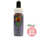  Tiger Lilly FES цветок essence Quint essence 