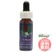 toliliumFES цветок essence Quint essence 