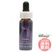  violet FES цветок essence Quint essence 