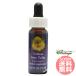 ie жаровня тюльпан FES цветок essence Quint essence 