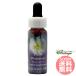 te.-mp обод rose FES цветок essence плита o яркий 